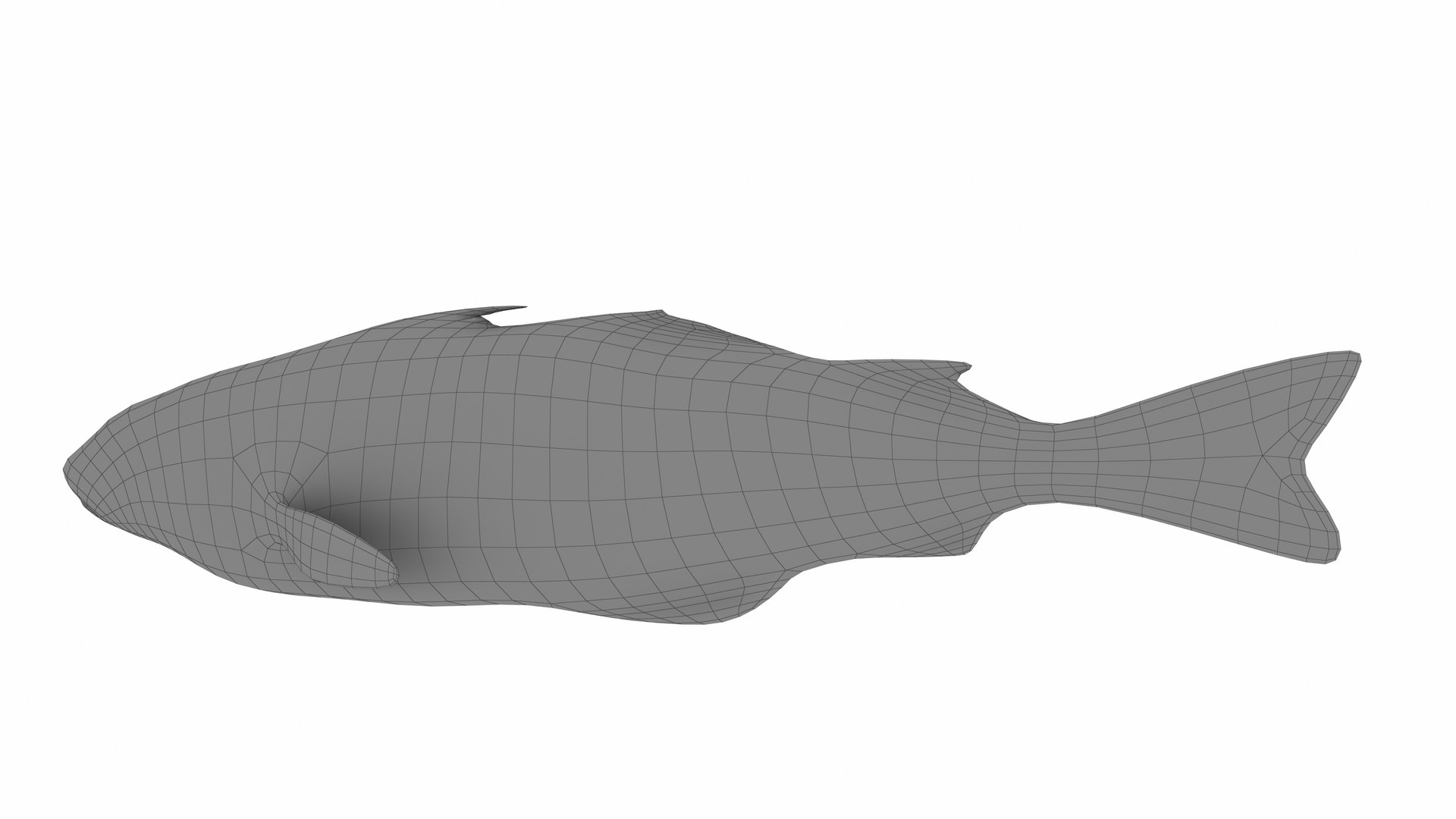 Haddock Fish 3D Model - TurboSquid 2380385