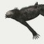 Iguane marin