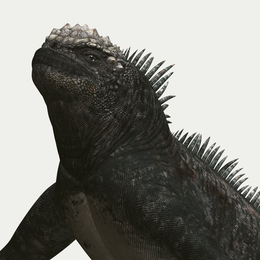 marine iguana 3d model https://p.turbosquid.com/ts-thumb/Uf/Iaog0W/DF6CKQuQ/i15/jpg/1406693146/1920x1080/fit_q87/608515df784b0b4bec39dde31c733f182f0e082b/i15.jpg