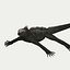 Iguane marin
