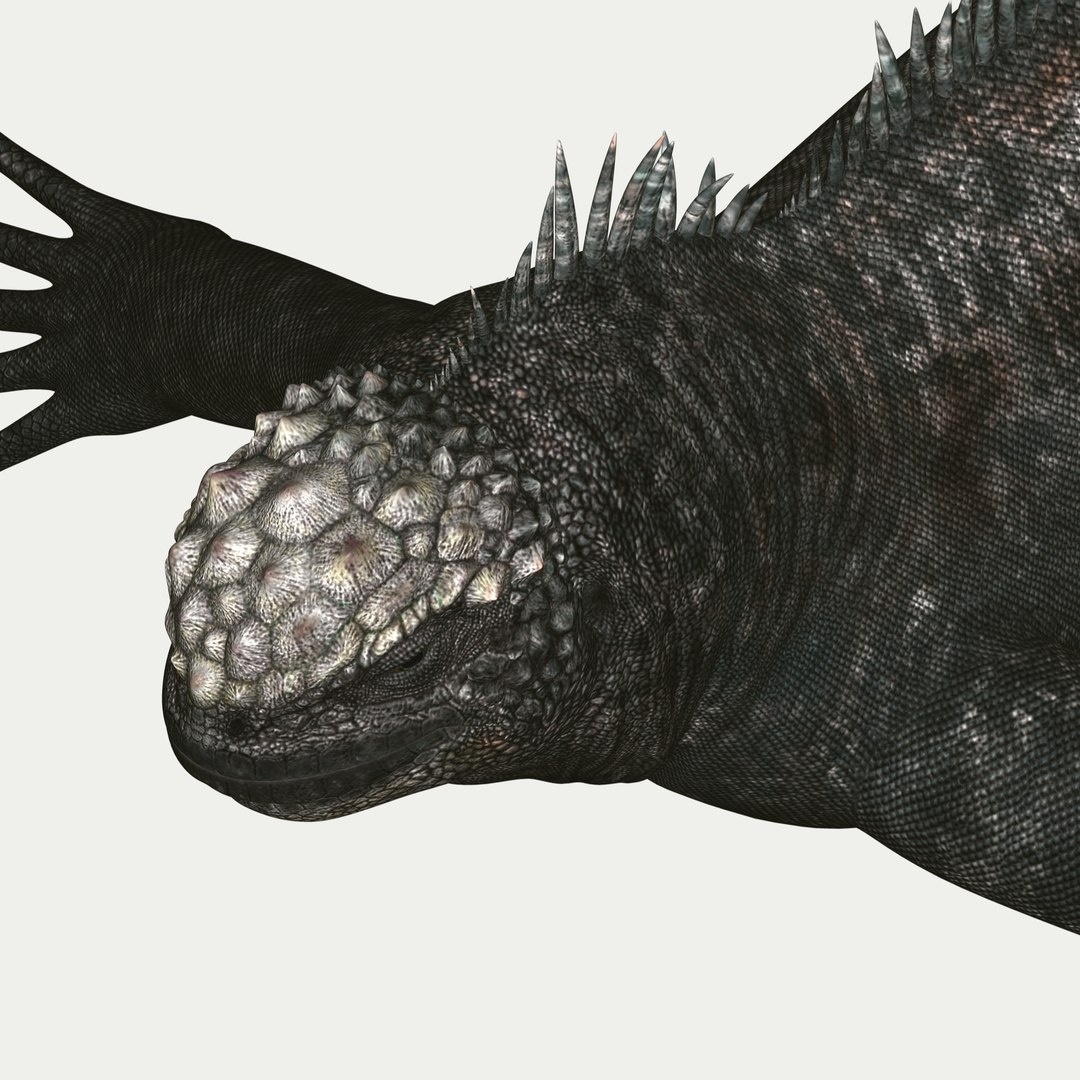 marine iguana 3d model https://p.turbosquid.com/ts-thumb/Uf/Iaog0W/UjAMUti0/i18/jpg/1406693146/1920x1080/fit_q87/eec770e319f444cc9de1b1b0858207064406145e/i18.jpg