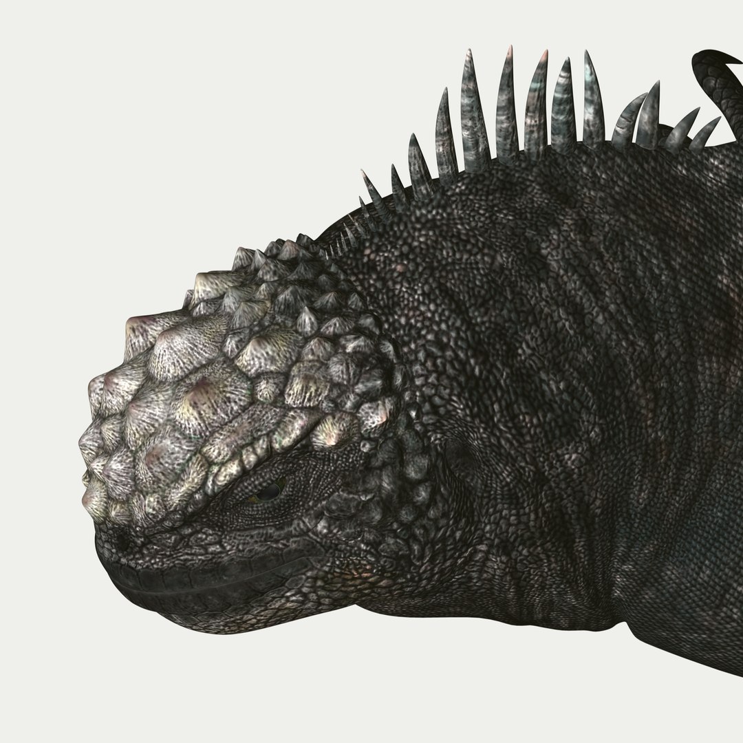 marine iguana 3d model https://p.turbosquid.com/ts-thumb/Uf/Iaog0W/Z0Bf107z/i51/jpg/1406693147/1920x1080/fit_q87/f085b50c3e441103e5698fbe27a47c99e06a4595/i51.jpg
