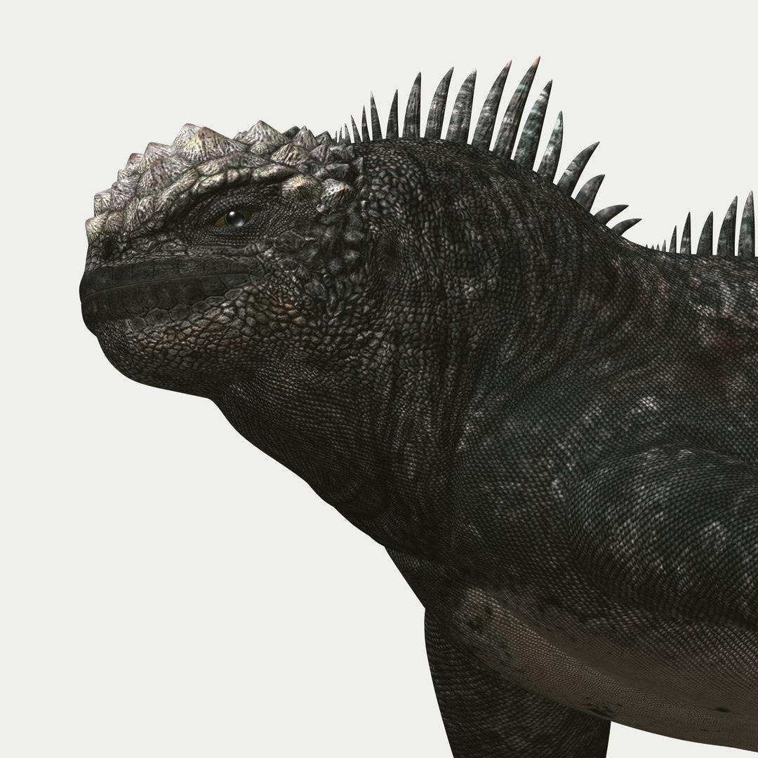 marine iguana 3d model https://p.turbosquid.com/ts-thumb/Uf/Iaog0W/kpOsgMVf/i47/jpg/1406693147/1920x1080/fit_q87/7cec3a29700cf2ea38aeb1e291e6d55e83ba3766/i47.jpg