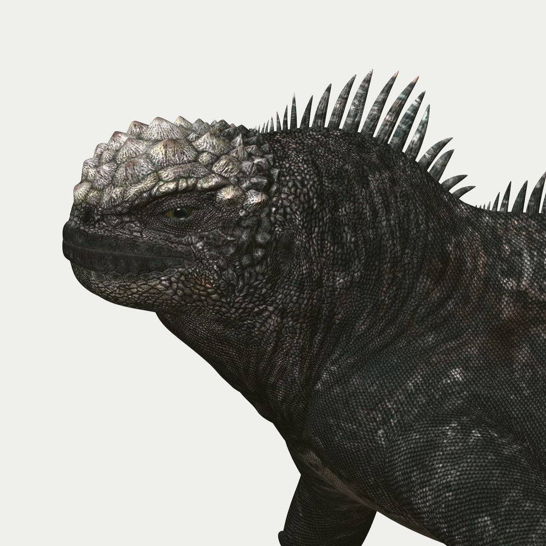 marine iguana 3d model https://p.turbosquid.com/ts-thumb/Uf/Iaog0W/o9g4M5gj/i45/jpg/1406693147/1920x1080/fit_q87/ba96234fda77af2cd1a1d920e06326dbbde9188b/i45.jpg