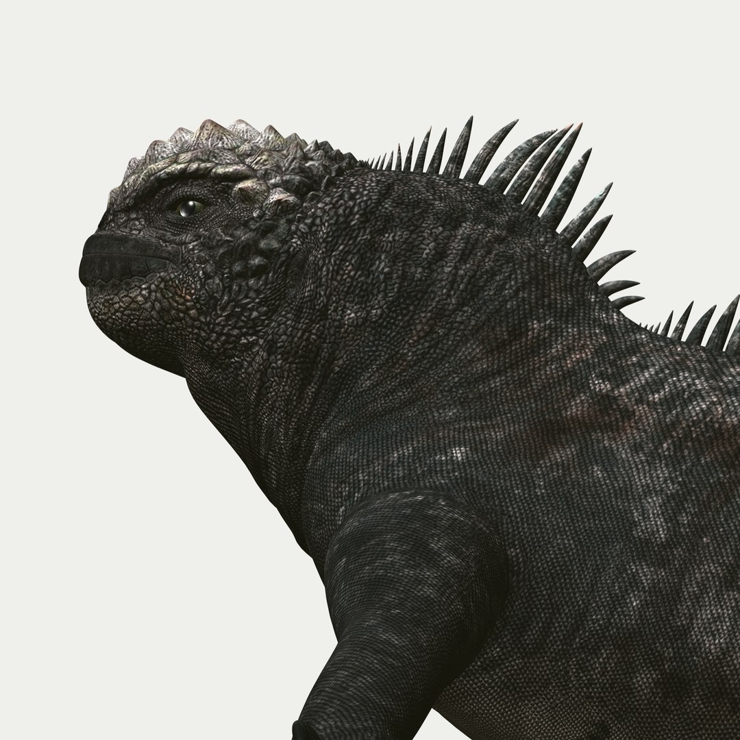 marine iguana 3d model https://p.turbosquid.com/ts-thumb/Uf/Iaog0W/pwOCYaqm/i17/jpg/1406693146/1920x1080/fit_q87/da6ce5f37f62e9f4650c7142424813e49936dab3/i17.jpg