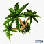 palm tree v 2 3d model