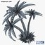 palm tree v 2 3d model