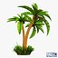 palm tree v 2 3d model