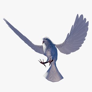 Rigged Low-Poly White Pigeon Asset 3D
