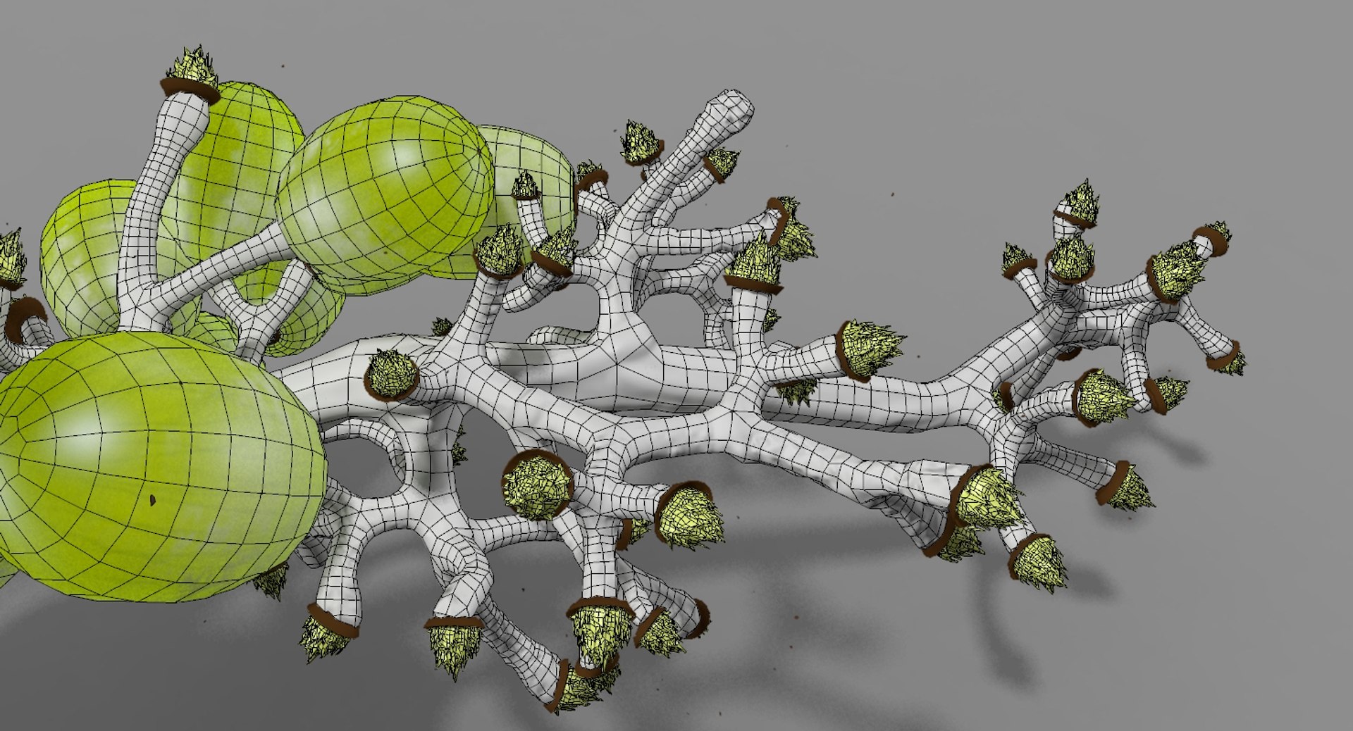 3D green grapes https://p.turbosquid.com/ts-thumb/Uf/SYOdVo/7TPheMdG/grape_render_17/jpg/1517654803/1920x1080/fit_q87/1acce33606e23d1aa9e5ca6e4a4bdaa9d4e50ed6/grape_render_17.jpg