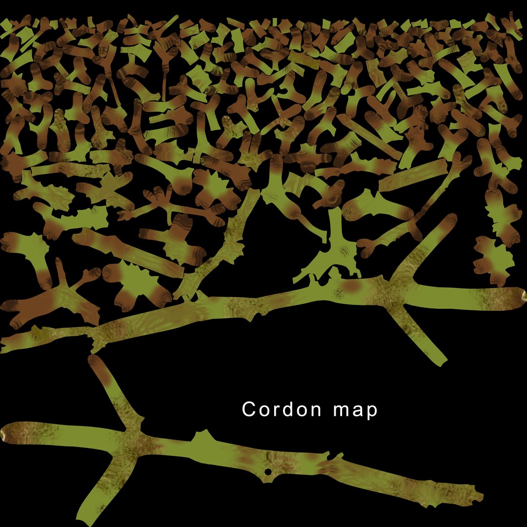 3D green grapes https://p.turbosquid.com/ts-thumb/Uf/SYOdVo/CXhcg2JR/outuv_grape_condor/jpg/1517665860/1920x1080/fit_q87/ca194abf6ee4e4182dea2507f14dba8827172901/outuv_grape_condor.jpg