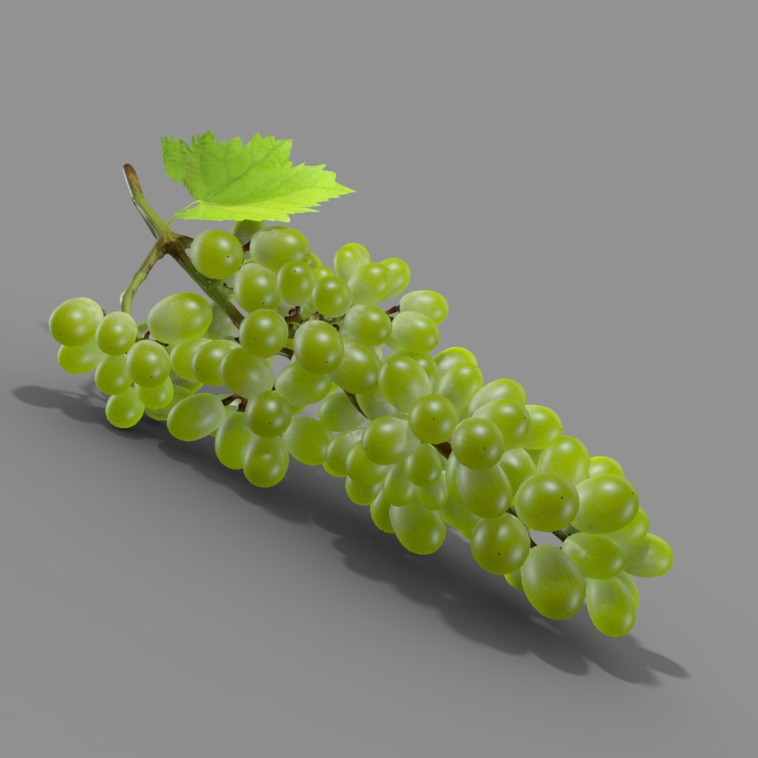 3D green grapes https://p.turbosquid.com/ts-thumb/Uf/SYOdVo/V0qFvxT1/grape_sqr_signature_01/jpg/1517654803/1920x1080/fit_q87/bbc5f2a6d91eae3af1172fd23dd9b58b5bb00f26/grape_sqr_signature_01.jpg