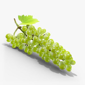 3D green grapes