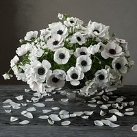 Anemone