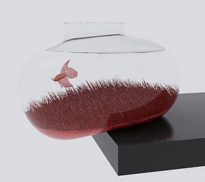 fishbowl
