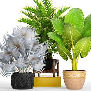 3D tropical plants