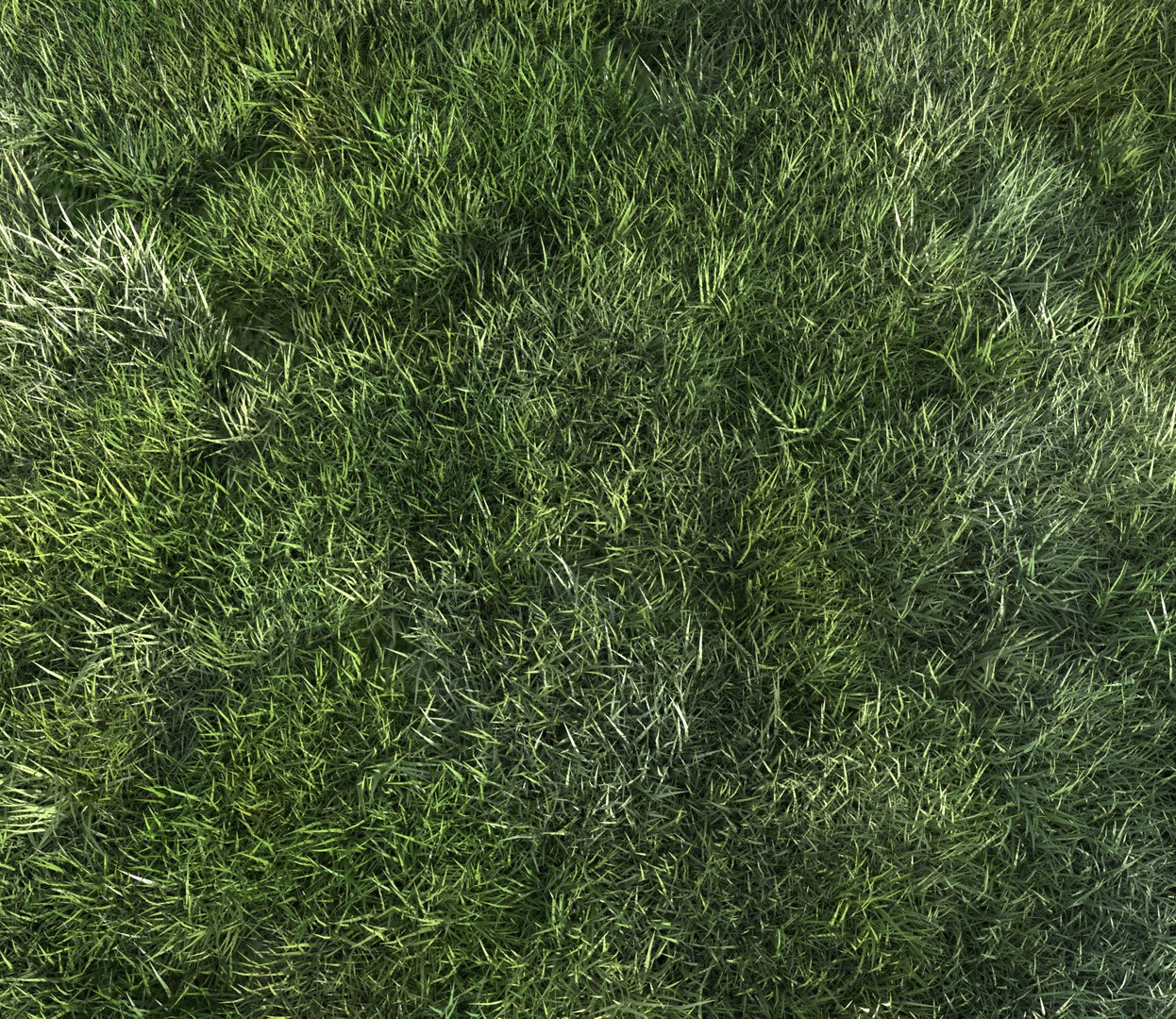 realistic mowed lawn grass 3D model https://p.turbosquid.com/ts-thumb/Uf/lU1di5/Ct3F8wVe/mowed_lawn10/jpg/1523518409/1920x1080/fit_q87/22d50722547cce739725763b2b7a84a518c1e9c6/mowed_lawn10.jpg