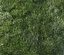 Mowed Lawn (+GrowFX)