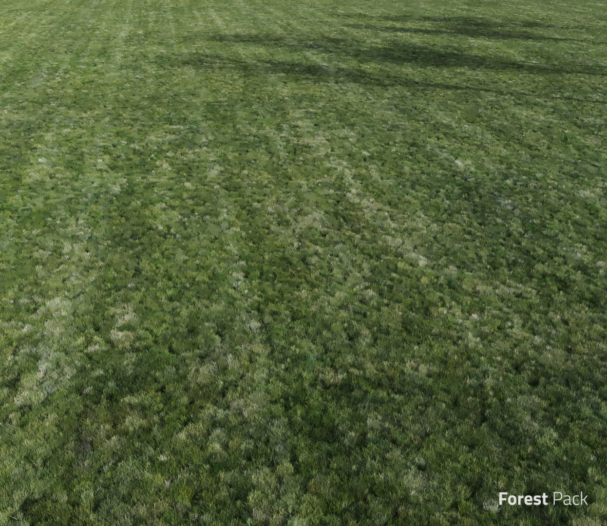realistic mowed lawn grass 3D model https://p.turbosquid.com/ts-thumb/Uf/lU1di5/Lg7K2iDn/mowed_lawn4/jpg/1523518369/1920x1080/fit_q87/5fd4af696970d446fb03cc878e881c5a55e0ec0f/mowed_lawn4.jpg