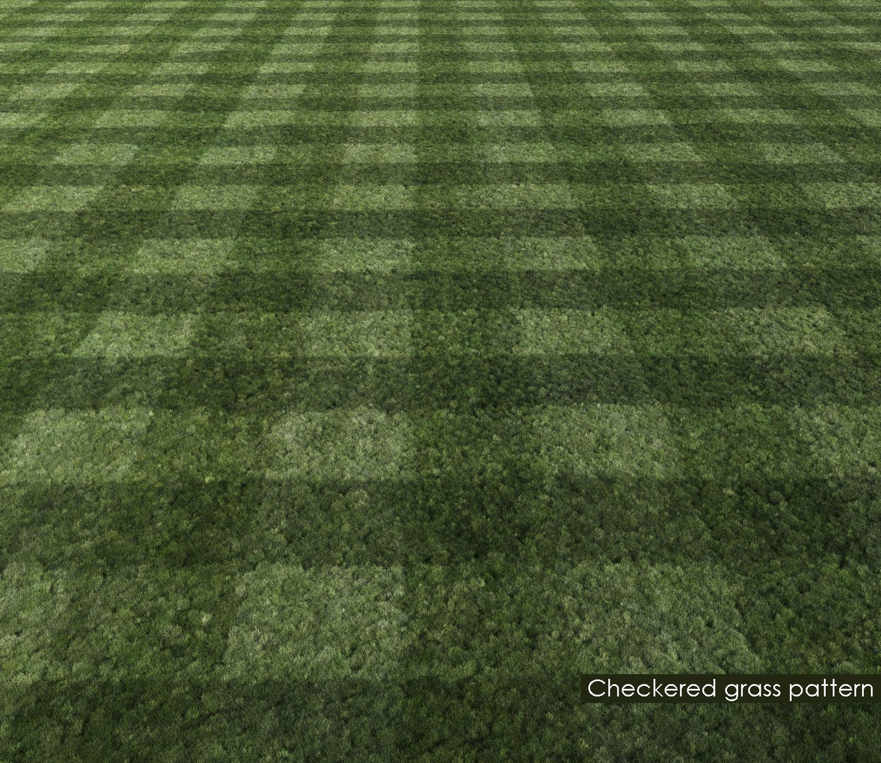 realistic mowed lawn grass 3D model https://p.turbosquid.com/ts-thumb/Uf/lU1di5/LnCgwXMW/mowed_lawn9/jpg/1523518355/1920x1080/fit_q87/e38921414eebb0b4b8ddefafb1246c27cbfce207/mowed_lawn9.jpg