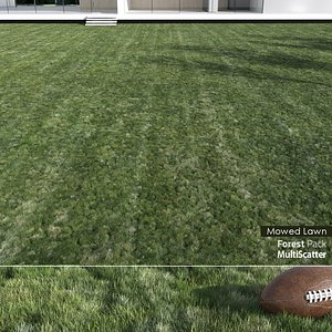 realistic mowed lawn grass 3D model