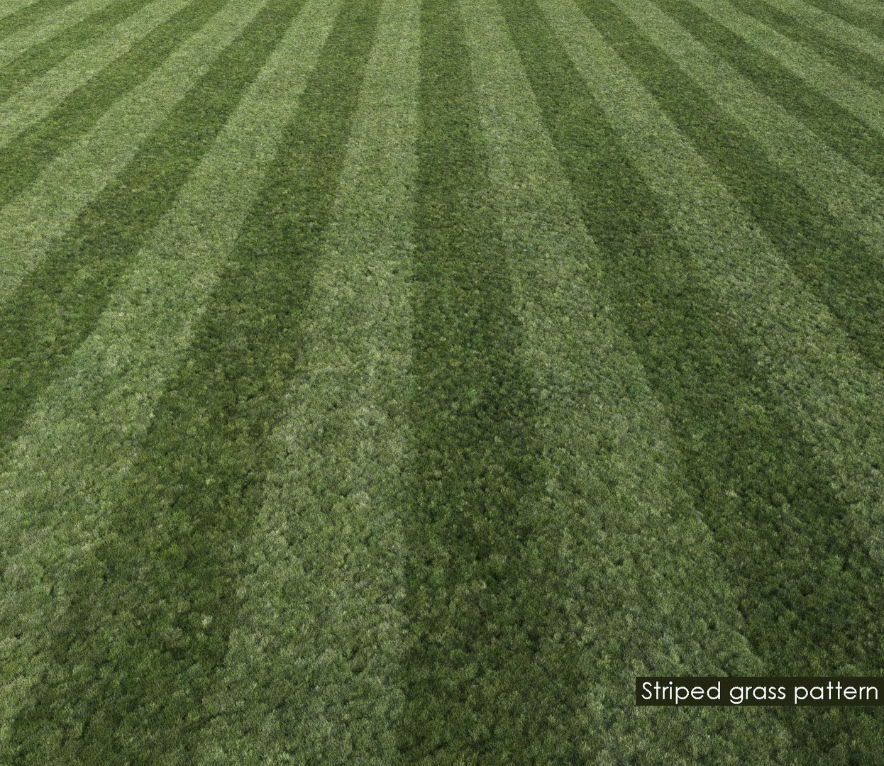 realistic mowed lawn grass 3D model https://p.turbosquid.com/ts-thumb/Uf/lU1di5/WakoB21M/mowed_lawn8/jpg/1523518341/1920x1080/fit_q87/4e4583dc82f07ba59920f84dca318648e7c20a36/mowed_lawn8.jpg