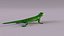 Madagascar Day Gecko model