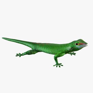 Madagascar Day Gecko model