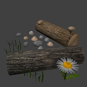 Nature Assets