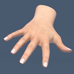 3d model female hand
