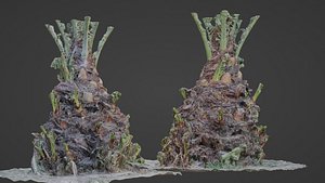 Plam base model