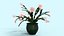 Schlumbergera cacto de natal planta flor modelo 3D low-poly