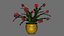 Schlumbergera cacto de natal planta flor modelo 3D low-poly
