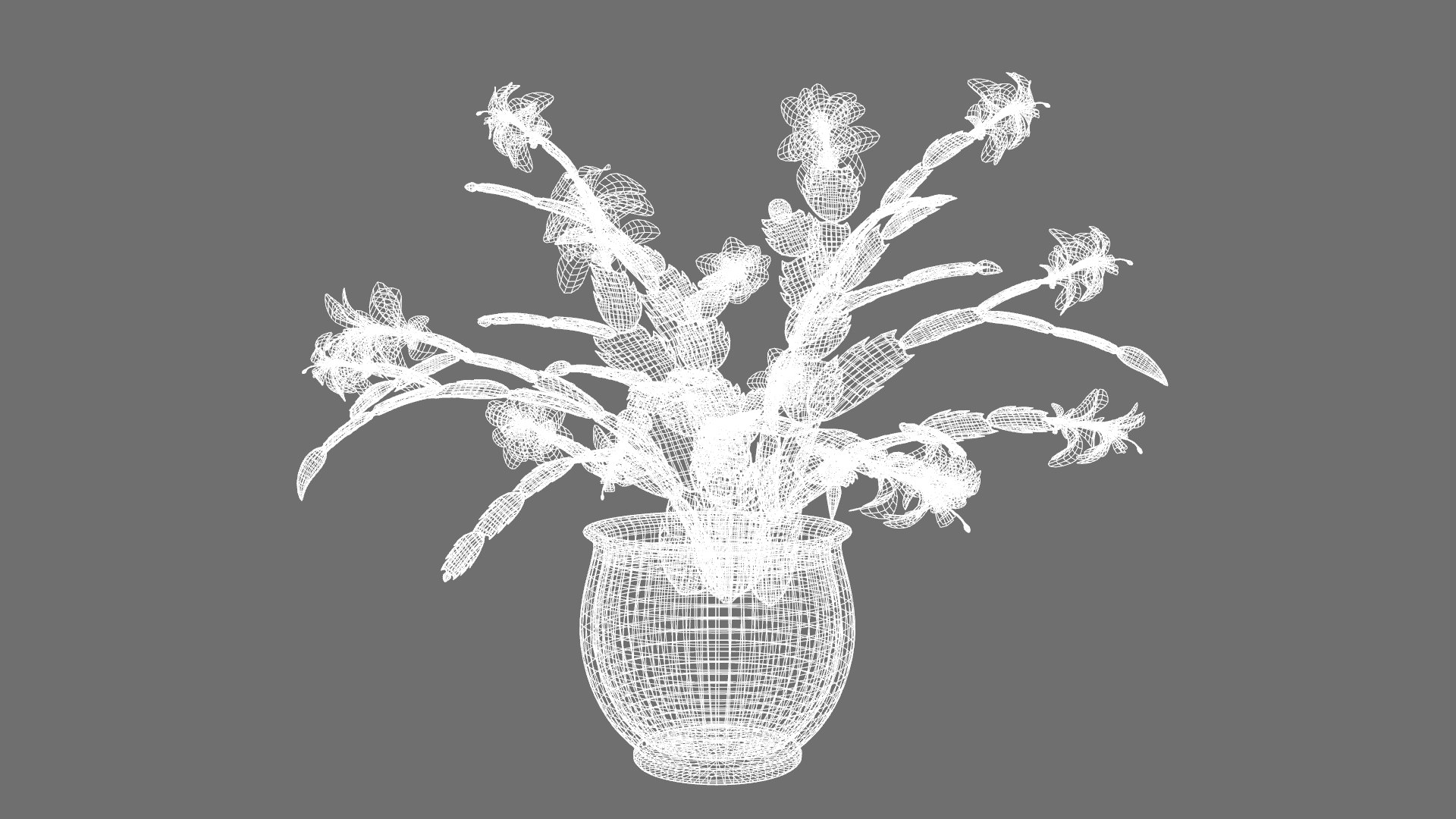 3D Schlumbergera Christmas Cactus Plant Flower Low-poly 3D model model https://p.turbosquid.com/ts-thumb/Ug/5dNXRO/ZP/w/png/1734090779/1920x1080/fit_q87/2cd77846aaf88109edcf0b5280d27fbd4bd13b13/w.jpg