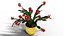 Schlumbergera cacto de natal planta flor modelo 3D low-poly