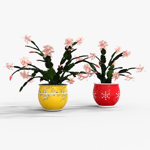 3D Schlumbergera Christmas Cactus Plant Flower Low-poly 3D model model