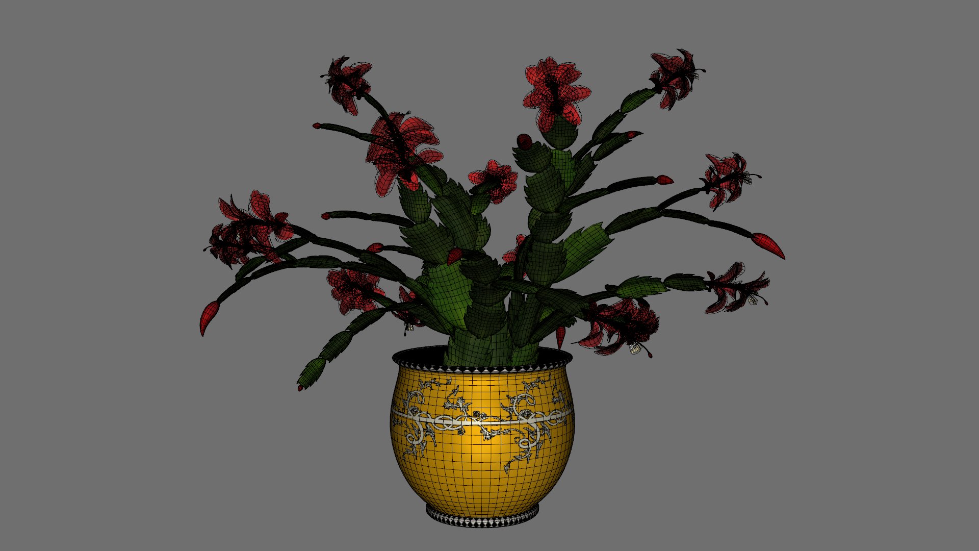 3D Schlumbergera Christmas Cactus Plant Flower Low-poly 3D model model https://p.turbosquid.com/ts-thumb/Ug/5dNXRO/rX/wwww/png/1734090781/1920x1080/fit_q87/72808a109304cbee0645f0386590e61df3d37b04/wwww.jpg