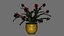 Schlumbergera cacto de natal planta flor modelo 3D low-poly