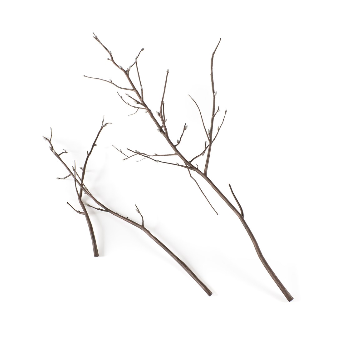 3D Branches Decoration - TurboSquid 1193863