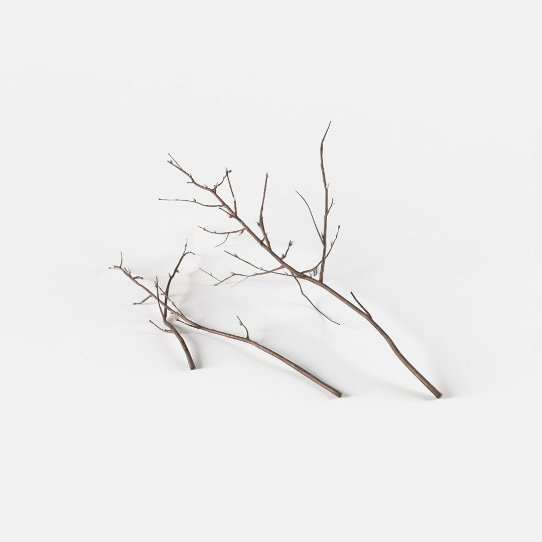 3D Branches Decoration - TurboSquid 1193863