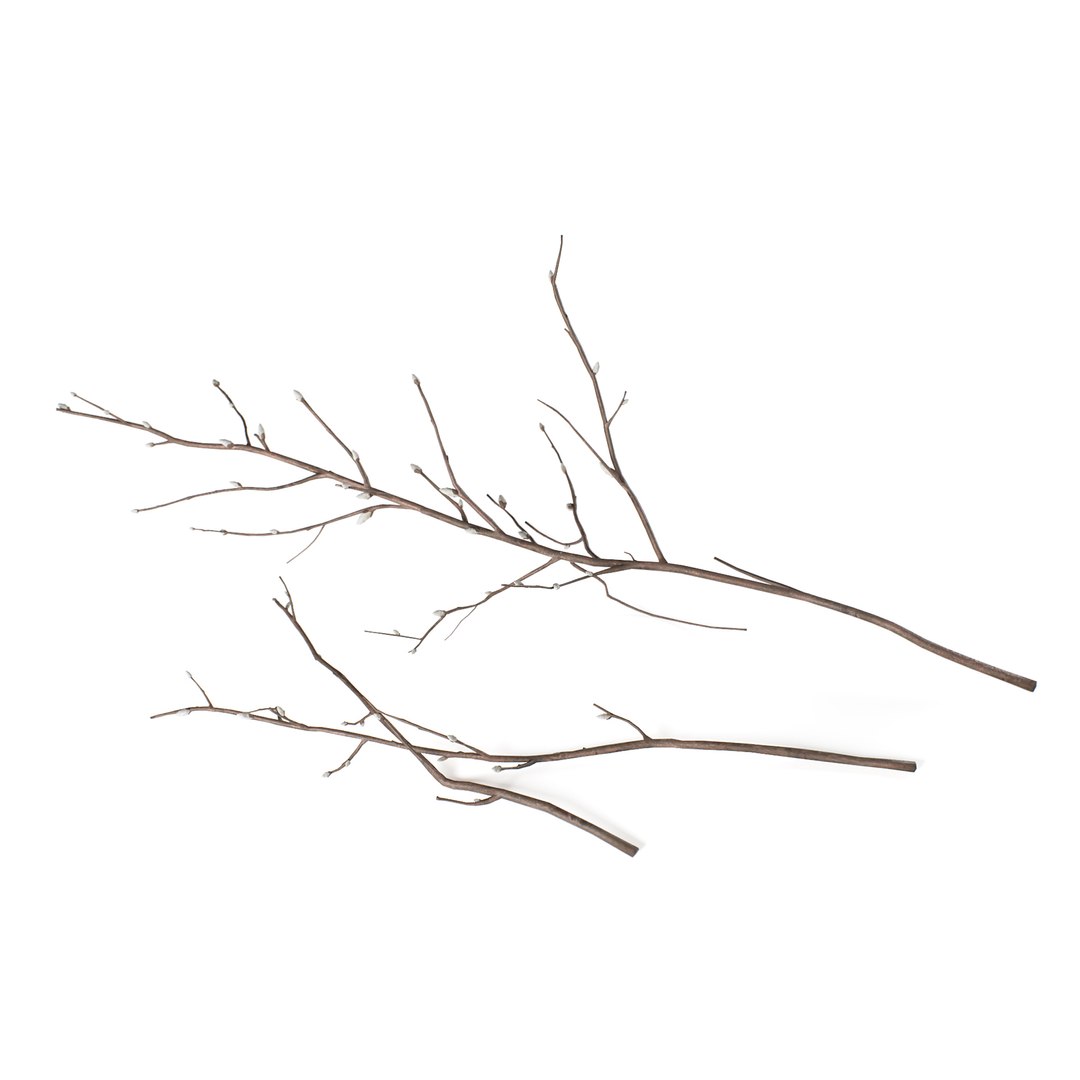 3D Branches Decoration - TurboSquid 1193863