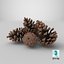 Pine Cones Pile with Open Scales Brown