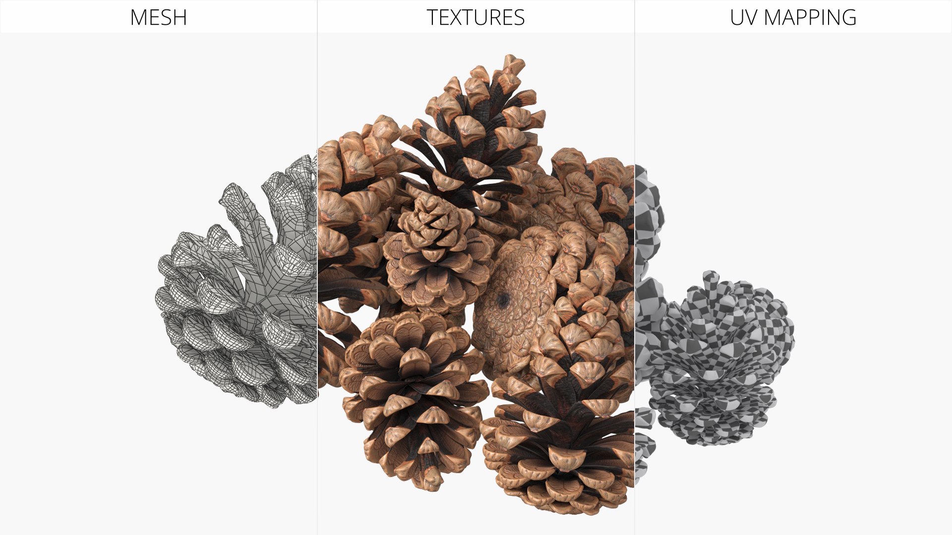 3D Pine Cones Pile with Open Scales Brown https://p.turbosquid.com/ts-thumb/Ug/DPVnta/52/pine_cones_pile_with_open_scales_brown_012/jpg/1771317403/1920x1080/fit_q87/1d3d3bbb98452d60f80c80917bdbcc3087499178/pine_cones_pile_with_open_scales_brown_012.jpg