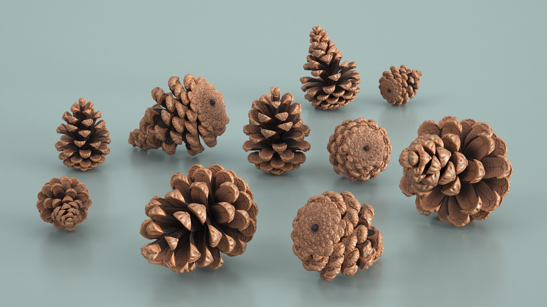 3D Pine Cones Pile with Open Scales Brown https://p.turbosquid.com/ts-thumb/Ug/DPVnta/LQ/pine_cones_pile_with_open_scales_brown_003/jpg/1771317377/1920x1080/fit_q87/f71795aac8ba88cbe0284de8f2a03cd7a89de7aa/pine_cones_pile_with_open_scales_brown_003.jpg