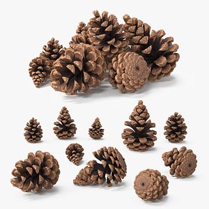 3D Pine Cones Pile with Open Scales Brown