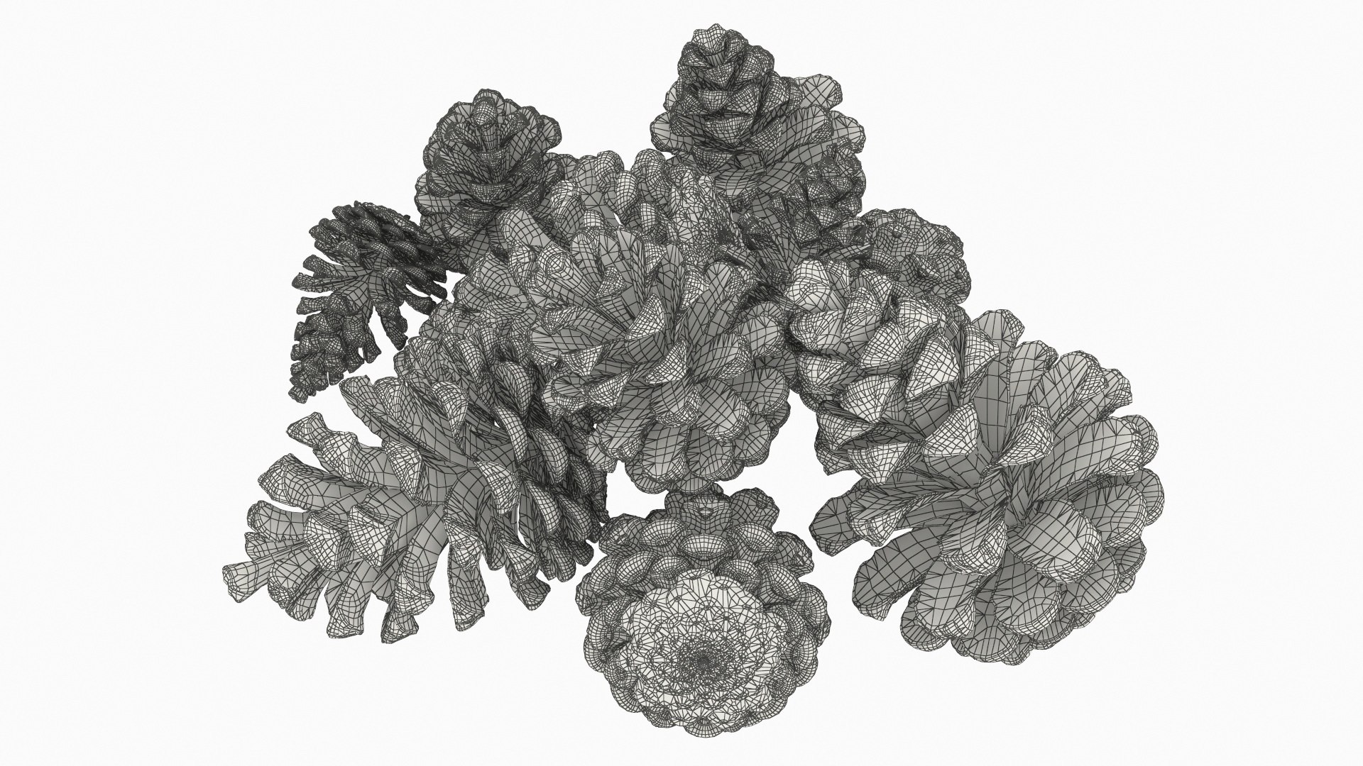 3D Pine Cones Pile with Open Scales Brown https://p.turbosquid.com/ts-thumb/Ug/DPVnta/Wa/pine_cones_pile_with_open_scales_brown_016/jpg/1771317446/1920x1080/fit_q87/9c04e4c691b56b9c3692b1f1a0f9bb9d6bbf2e6d/pine_cones_pile_with_open_scales_brown_016.jpg