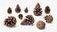 Pine Cones Pile with Open Scales Brown
