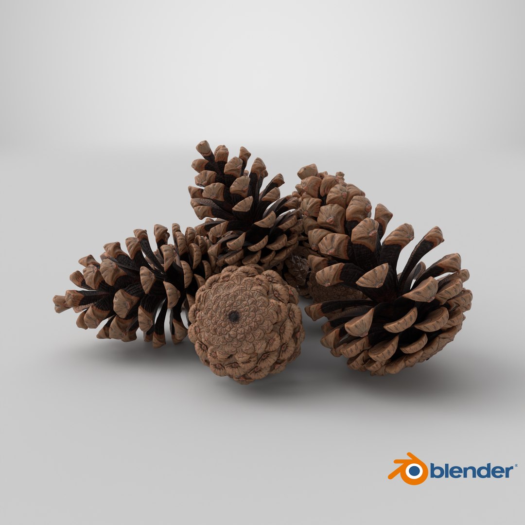 3D Pine Cones Pile with Open Scales Brown https://p.turbosquid.com/ts-thumb/Ug/DPVnta/pZ/stemcell_blender_cycles_render/png/1772473049/1920x1080/fit_q87/586e2fbe4bd3557a90fdee2e391e418ab1e0d042/stemcell_blender_cycles_render.jpg