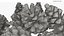 Pine Cones Pile with Open Scales Brown