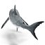 Great White Shark Rigged per Cinema 4D